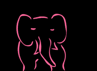 henriquekanashiro elefant kanashiros2 henrique k GIF