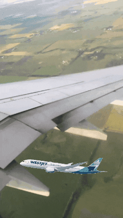 travelchicks travel plane airplane planes GIF