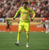 Rossi GIF
