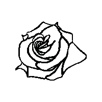 roseslaceshop flower rose mamormo roseslaceshop Sticker