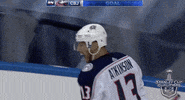 Ice Hockey Hug GIF by NHL