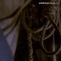 Film Camping GIF by Arrow Video