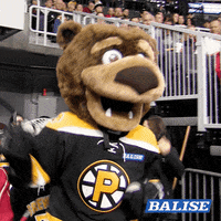 providencebruins hockey bruins ahl american hockey league GIF