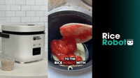 Eggplant Lasagna, One Pot | Rice Robot