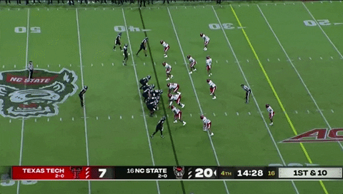 therealessad giphygifgrabber touchdown sumo nc state GIF