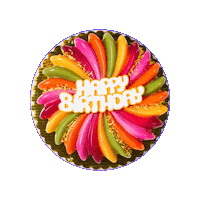 Happy Birthday Sticker by Mishkacakes & more