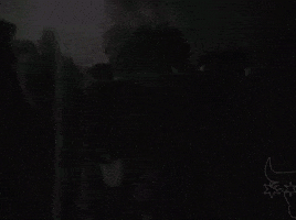 Raqworld rw raqworld smallwarhorse lqur GIF