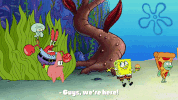 season 9 episode 24 GIF by SpongeBob SquarePants
