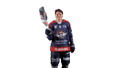 Tavernier Sticker by Les Ducs d'Angers