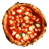 attiliomottolapizzeria wow cool pizza tasty Sticker
