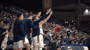 GonzagaBulldogs basketball celebration bench gonzaga GIF