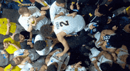 Excited College Basketball GIF by Michigan Athletics