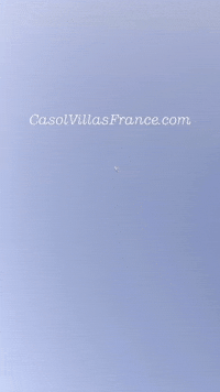Travel Fly GIF by Casol