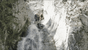 The Amazing Race Fun GIF by CBS