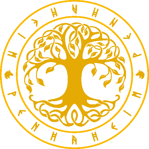 Cechinel Sticker by True Content