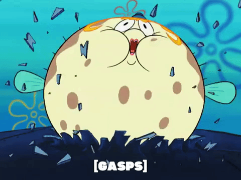 season 6 penny foolish GIF by SpongeBob SquarePants