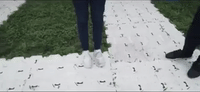 crazy creamfields GIF by Robin Schulz