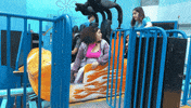 Spongebob Squarepants Nickelodeon GIF