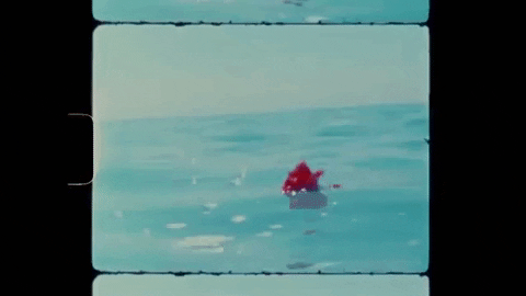 Wave Rose GIF by PIXIES