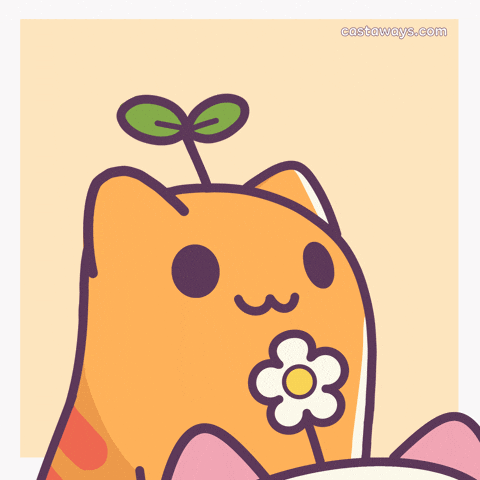 Cat Love GIF by Castaways