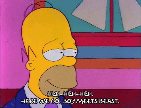 Season 2 GIF by The Simpsons