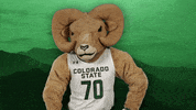 Csurams Gorams GIF by Colorado State Rams