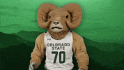 Csurams Gorams GIF by Colorado State Rams