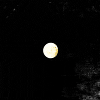 moon GIF by hoppip
