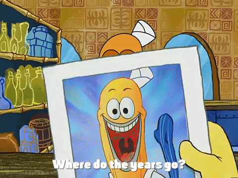 season 3 GIF by SpongeBob SquarePants