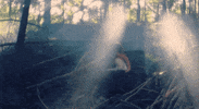 The Story So Far Pop Punk GIF by Pure Noise Records