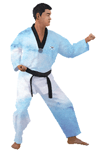 Martial Arts Sport Sticker by vank