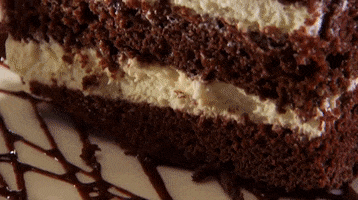 cucinatagliani cake chocolate dessert italian GIF
