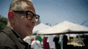 Episode 4 Denim GIF by The World According to Jeff Goldblum | Disney+