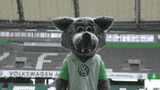 Happy Goal GIF by VfL Wolfsburg
