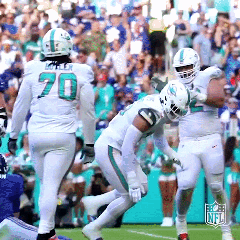 Happy Celebration GIF by NFL