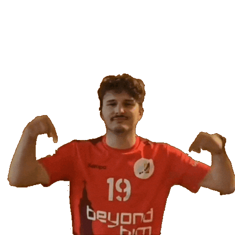 Handball Julian Sticker by SVFides