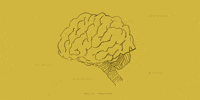 brain GIF by Primer