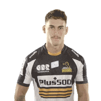 Super Rugby Reece Sticker by BrumbiesRugby