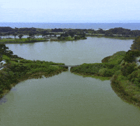 Lake Merced