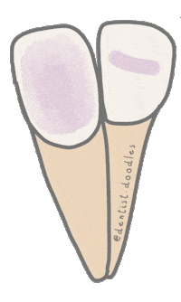Teeth Tooth Sticker