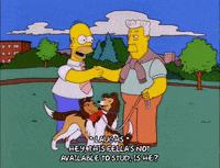 homer simpson episode 20 GIF