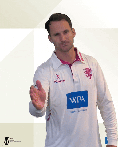 Shot Umpire GIF by Somerset County Cricket Club