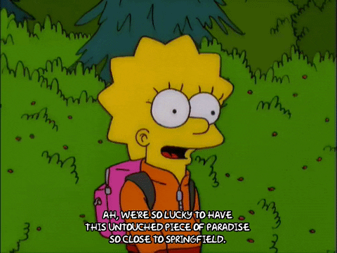 Lisa Simpson Walk GIF by The Simpsons