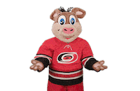 Swipe Up Ice Hockey Sticker by NHL