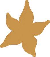 Grow Nature Art Sticker