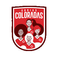 Vamointer Diadeinter Sticker by Sport Club Internacional