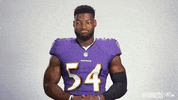 Football Nfl GIF by Baltimore Ravens