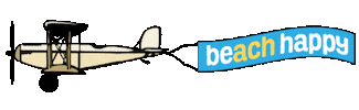 Beach Plane Sticker by 30A