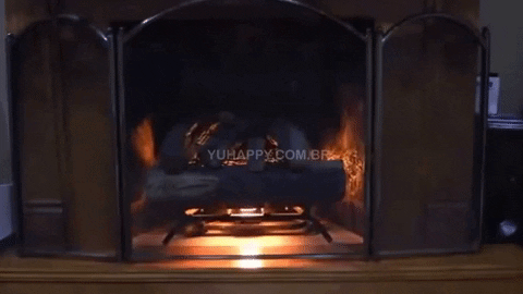marcelocorra354f giphyupload GIF