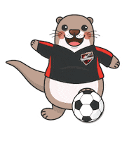 Otter Ollie Sticker by vanwestcollege